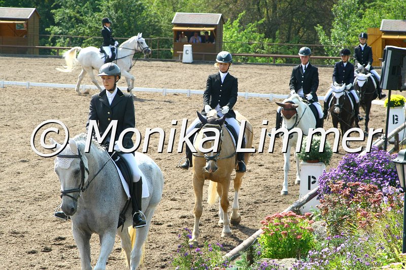 109M6503_RWB 1 Abt_.jpg - Turnier Wernstein, Reiterwettbewerb 1. Abt.  Foto Monika Limmer